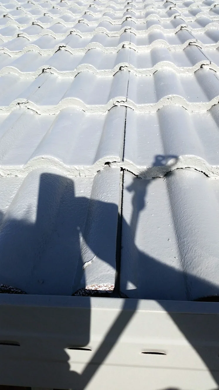 White roof tile finish